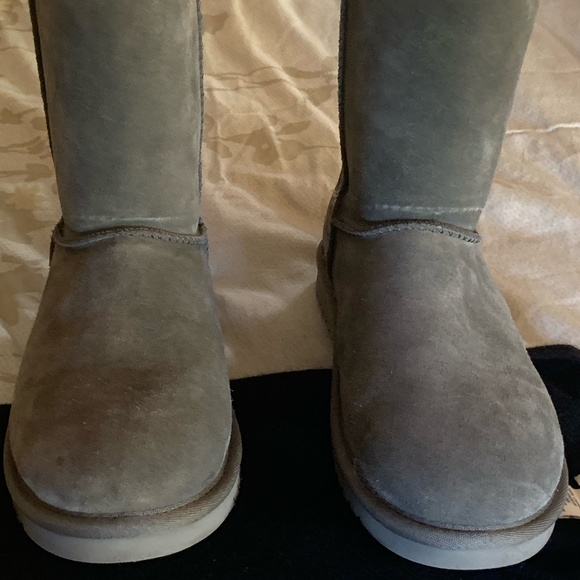UGGS Koolaburra Short-New - Picture 4 of 7